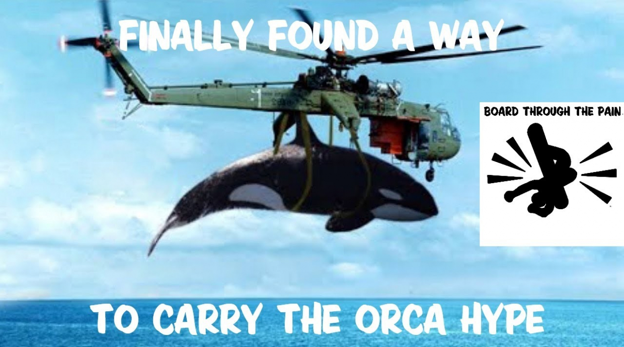 gallery/orca meme