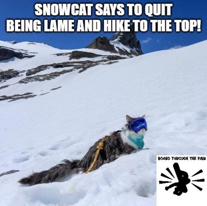 SnowCat